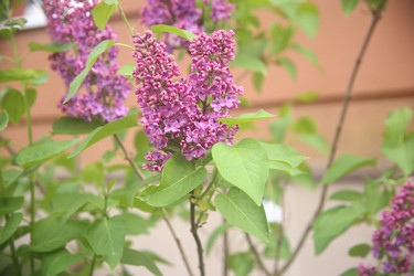 Similar image 22741646
