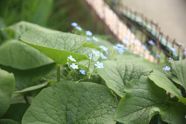 Similar image 22759044