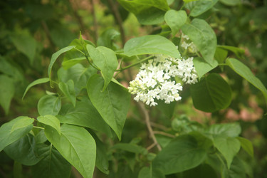 Similar image 22749467