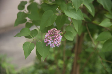 Similar image 22741650