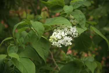 Similar image 22751840