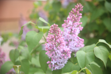 Similar image 22741652