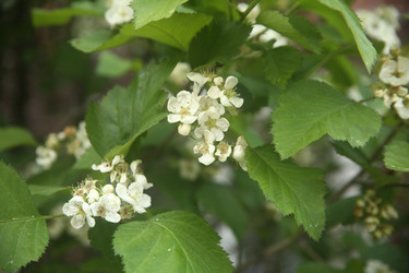 Similar image 22756624