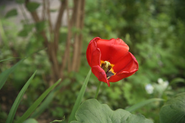 Similar image 22742943
