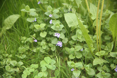 Similar image 22741656