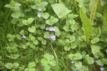 Similar image 22756627
