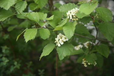 Similar image 22756639