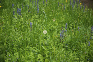 Similar image 22756642