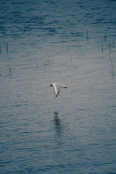 Similar image 22738782