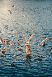 Similar image 22738783