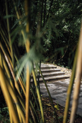 Similar image 22742449