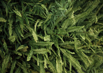 Similar image 22742525