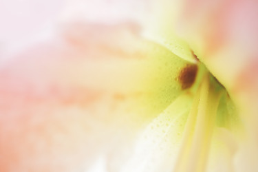 Similar image 22742528