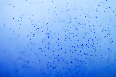 Similar image 22742544