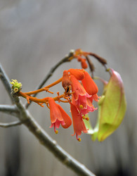 Similar image 22741593