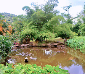 Similar image 22738449