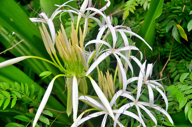 Similar image 22738450