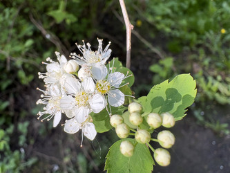 Similar image 22738331