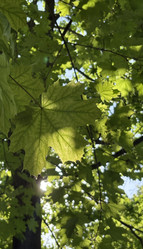 Similar image 22738344