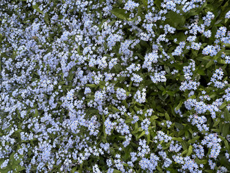 Similar image 22738346