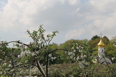 Similar image 22738833