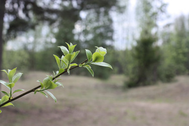 Similar image 22741543