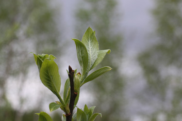 Similar image 22741544