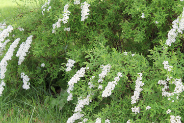 Similar image 22738845