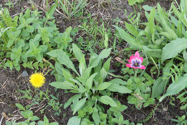 Similar image 22738848
