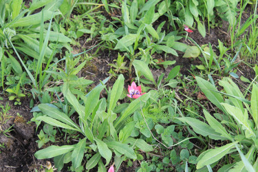 Similar image 22738849
