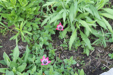 Similar image 22738851