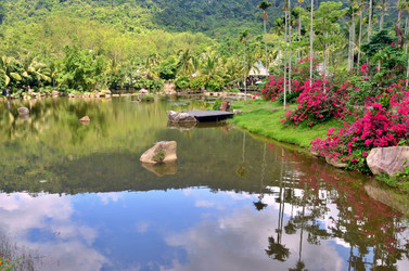 Similar image 22743455
