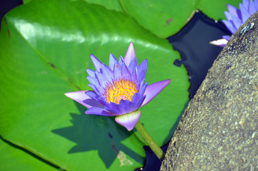 Similar image 22743459