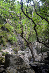 Similar image 22743462