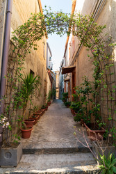 Similar image 22742048