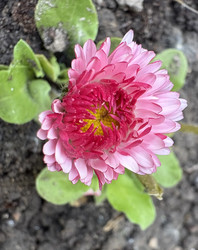 Similar image 22741611