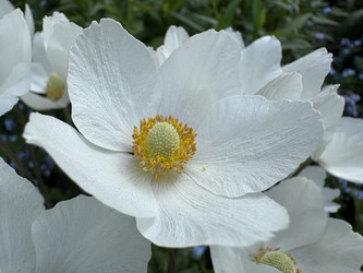 Similar image 22741615