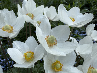 Similar image 22741618