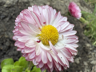 Similar image 22741620