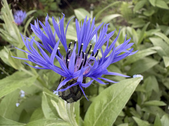 Similar image 22741829