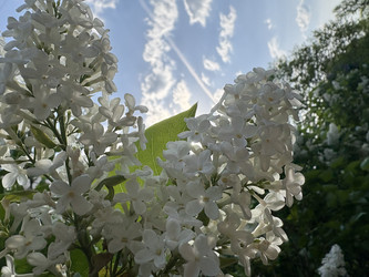 Similar image 22741831
