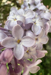 Similar image 22741832