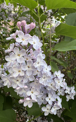 Similar image 22741838