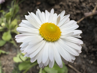 Similar image 22741841