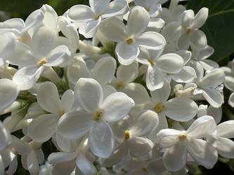 Similar image 22741860