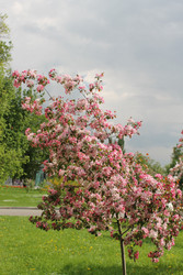 Similar image 22741547
