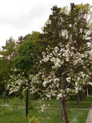 Similar image 22741553