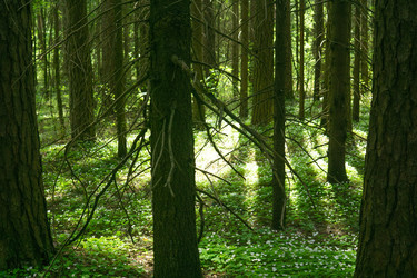Similar image 22759112