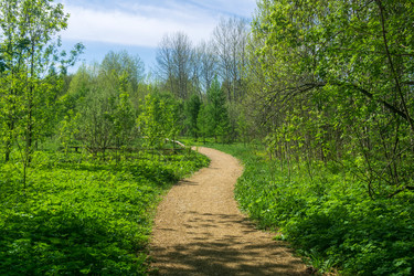 Similar image 22759113