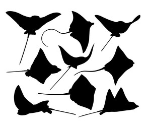 Similar image 22741554